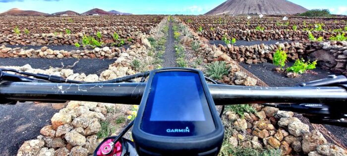 Lanzarote: Timanfaya Volcanic Natural Park E-Bike Tour - Guides Expertise and Engagement