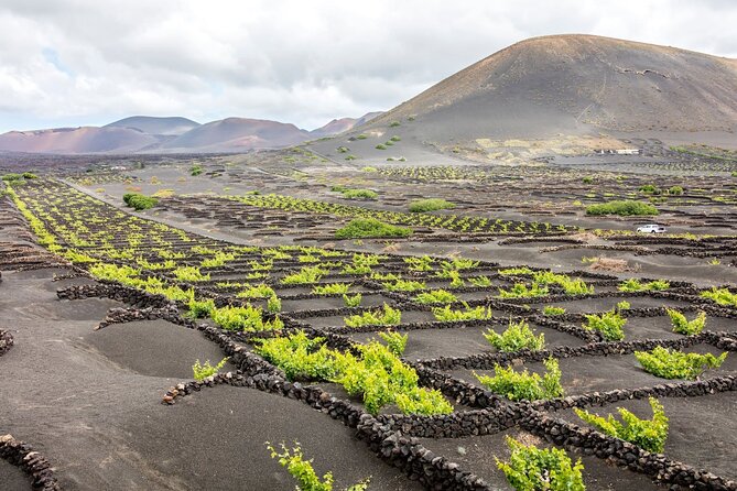 Lanzarote Tour With Timanfaya National Park and El Golfo - Reviews and Ratings