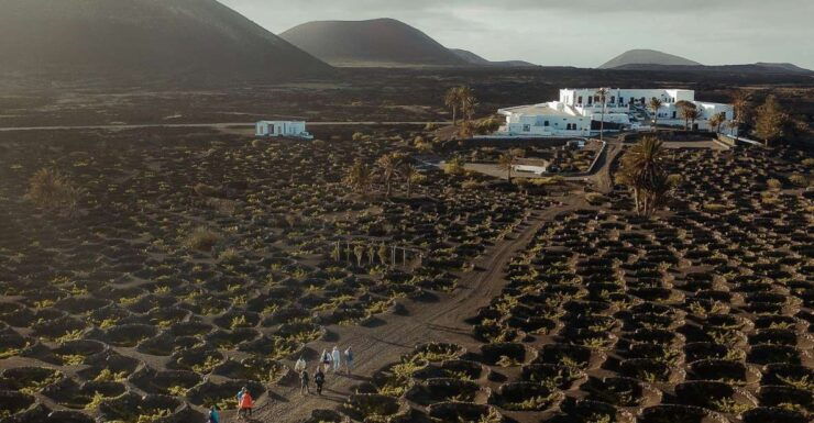 Lanzarote: Vineyard Tour With Wine and Chocolate Tasting - Activity Details