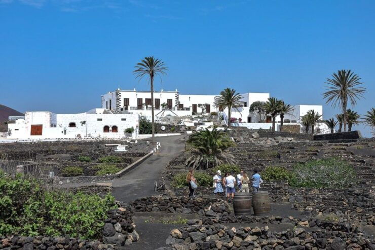 Lanzarote: Vineyard Tour With Wine and Chocolate Tasting - Experience Highlights