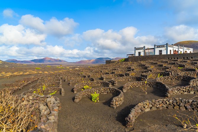 Lanzarote Volcano and Wine Region Tour From Fuerteventura - Visitor Experiences and Testimonials
