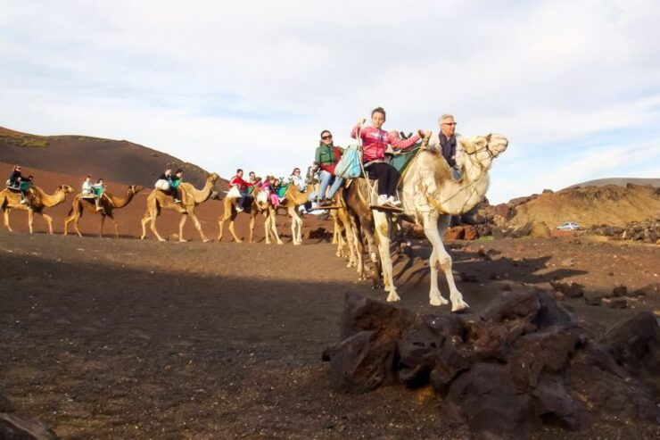 Lanzarote: Volcanoes & Caves Guided Day Trip With Transfers - Activity Details