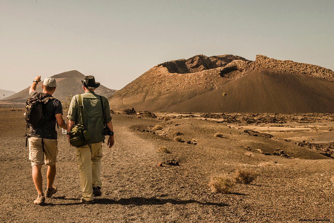 Lanzarote Volcanoes Small Group Guided Tour - Positive Reviews From Tour Participants