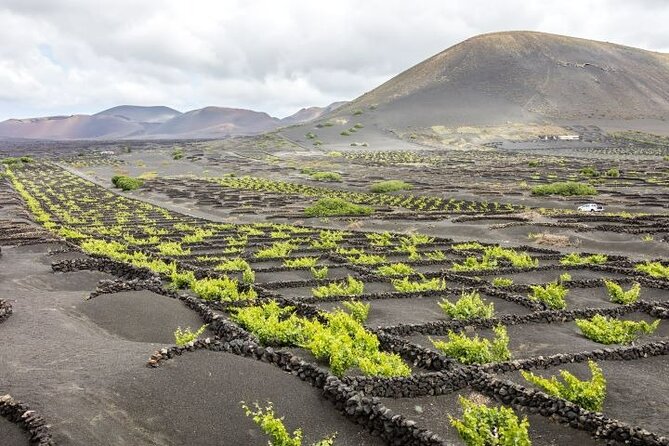 Lanzarote Volcanoes Tour Departing From Fuerteventura - Traveler Photos and Reviews