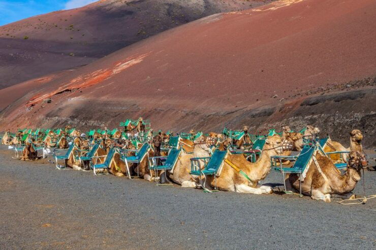 Lanzarote: Volcanos of Timanfaya and Caves Tour With Lunch - Tour Highlights