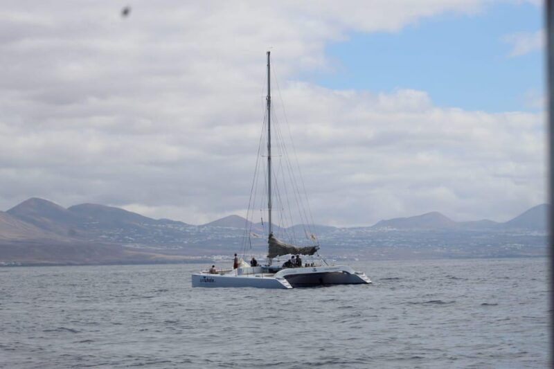 Lanzarote: Whale and Dolphin Watching Eco-Friendly Catamaran - Good To Know