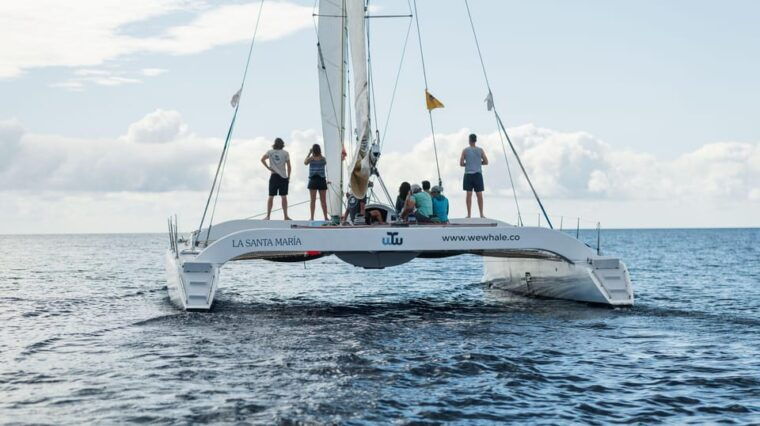 Lanzarote: Whale and Dolphin Watching Eco-Friendly Catamaran - Complementary Refreshments