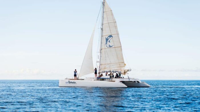Lanzarote: Whale and Dolphin Watching Eco-Friendly Catamaran - Cancellation Policy and Prohibited Items