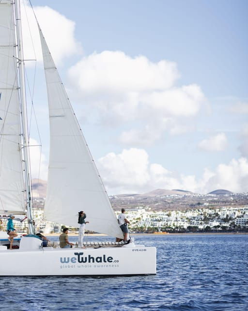 Lanzarote: Whale and Dolphin Watching Eco-Friendly Catamaran - Booking and Availability