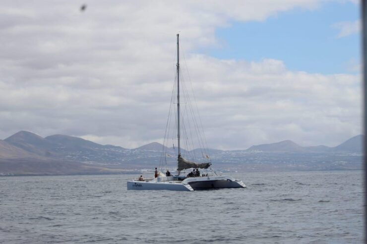 Lanzarote: Whale and Dolphin Watching Eco-Friendly Catamaran - Good To Know