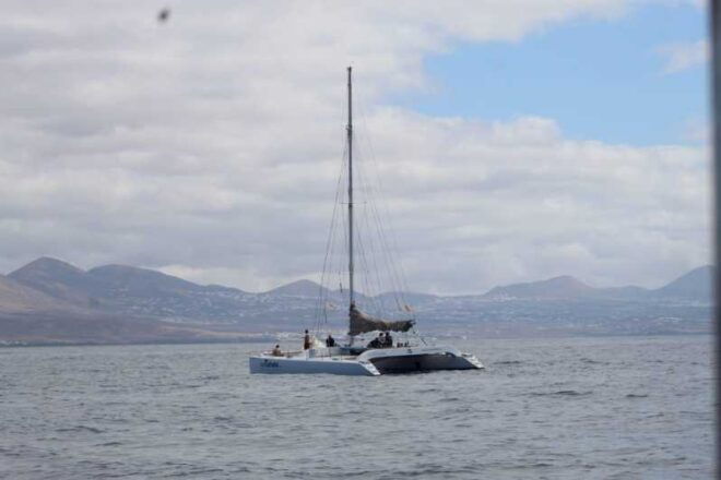 Lanzarote: Whale and Dolphin Watching Eco-Friendly Catamaran - Meeting Point and Accessibility