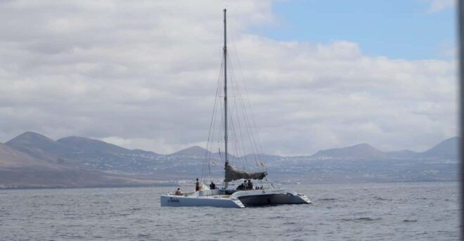 Lanzarote: Whale and Dolphin Watching Eco-Friendly Catamaran - Important Information