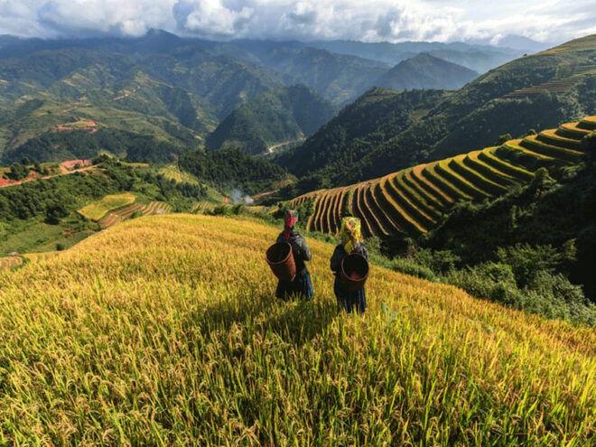 Lao Chai: Full-Day Ta Van Trek Tour From Sapa - Included Features