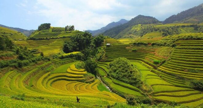 Lao Chai: Full-Day Ta Van Trek Tour From Sapa - Important Information