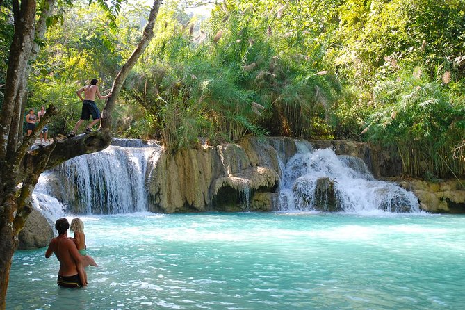 Laos Buffalo Dairy Farm Experience & Kuang Si Waterfall Half Day Tour - Tour Highlights