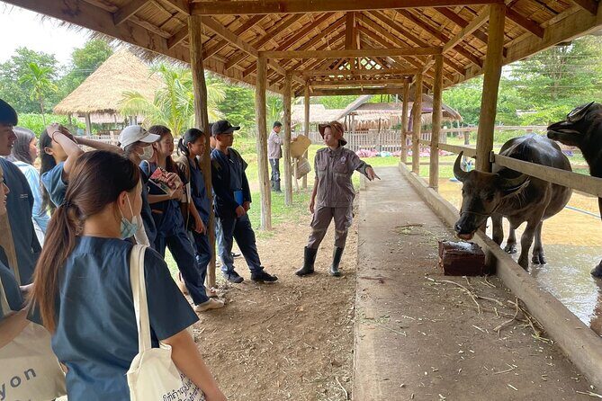 Laos Buffalo Dairy Tours Interact, Learn and Taste Fresh Flavors - Who Should Consider This Tour?