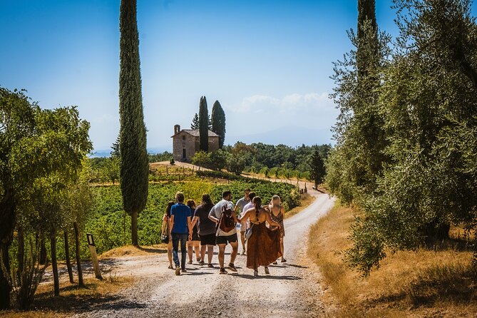 Lapi&Tour Guided Tour of the Cellars With Wine Tasting - Tour Highlights
