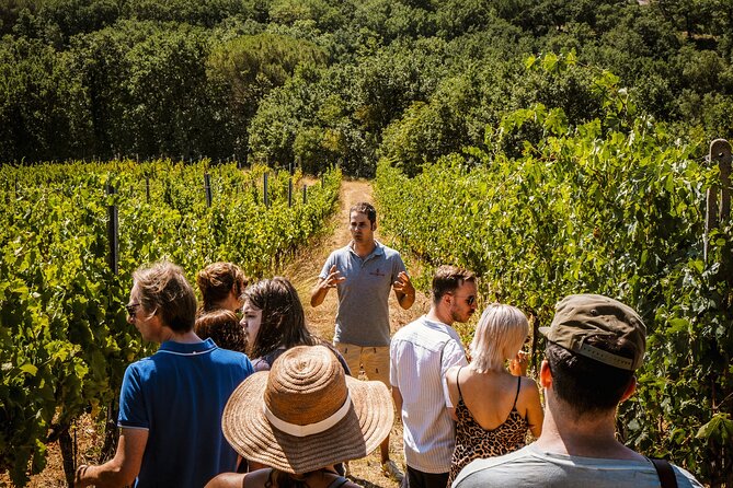 Lapi&Tour Guided Tour of the Cellars With Wine Tasting - Cancellation Policy
