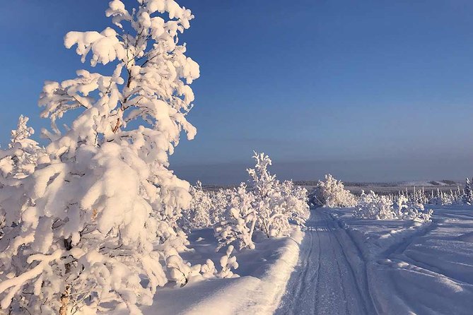 Lapland 2-Person Snowmobile Tour With Lunch From Kiruna - Pricing and Booking Details