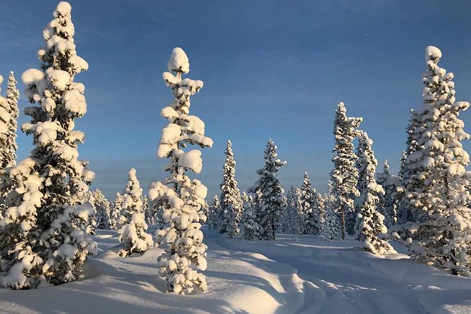 Lapland 2-Person Snowmobile Tour With Lunch From Kiruna - The Sum Up