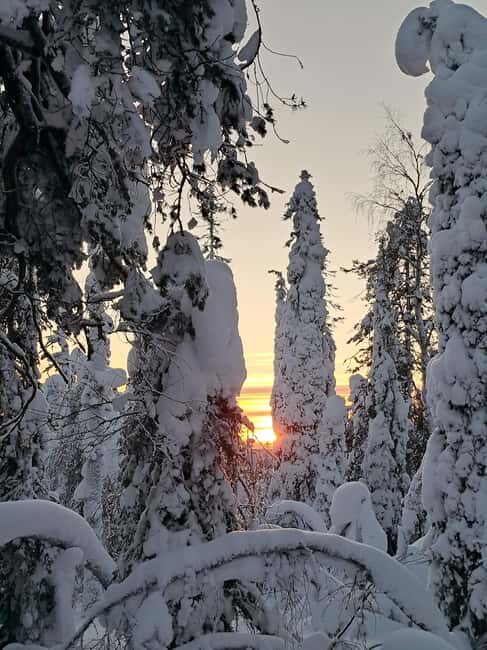 Lapland: A Day at a Traditional Log Cabin & Snowshoe Trek - An In-Depth Look at the Experience