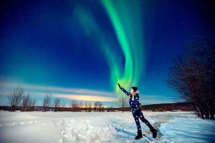 Lapland: Aurora Borealis BBQ Tour - Activity Details