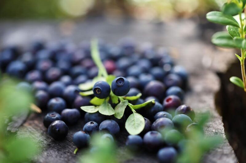 Lapland Cooking Workshop - Who Will Love This Tour?