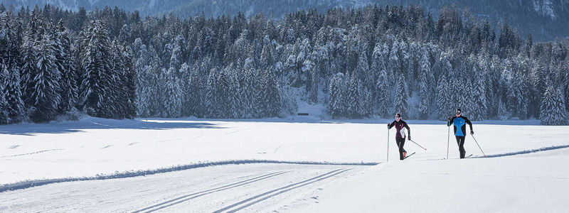 Lapland Cross Country Ski Experience in Rovaniemi - A first lesson, then out onto the snow