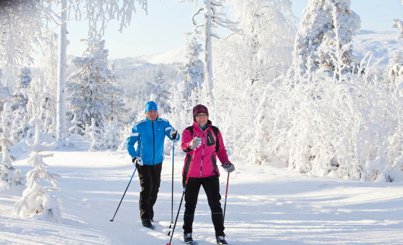 Lapland Cross Country Ski Experience in Rovaniemi - A warm pause with Finnish gingerbread