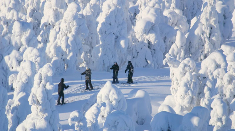 Lapland Cross Country Ski Experience in Rovaniemi - The price and what it buys