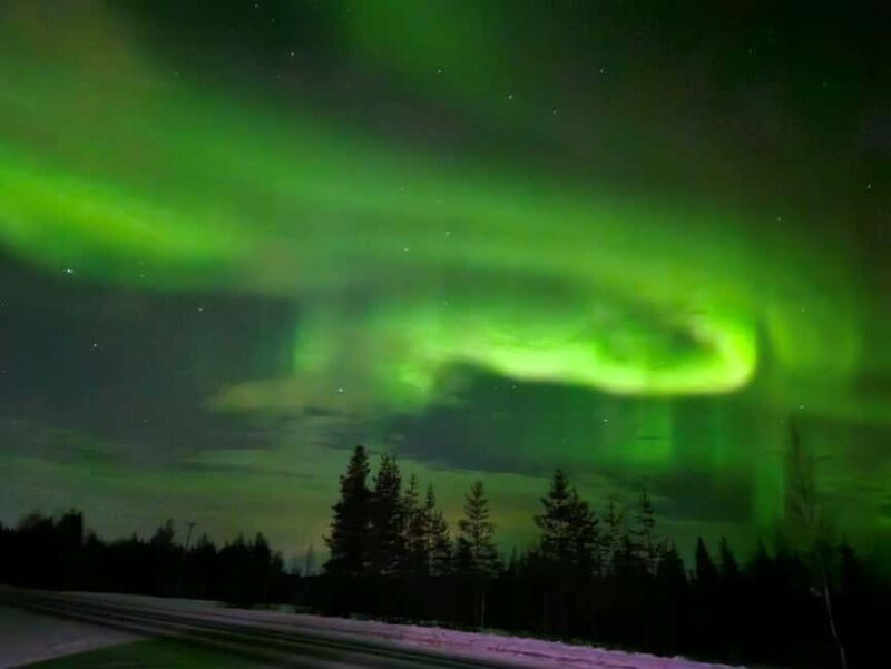 Lapland: Exclusive Private 7h Snowmobile Tour with Guide - An In-Depth Look at the Snowmobile Tour Experience