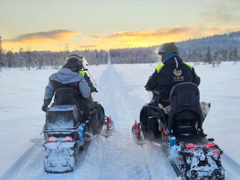 Lapland: Exclusive Private 7h Snowmobile Tour with Guide - Authentic Reviewer Insights