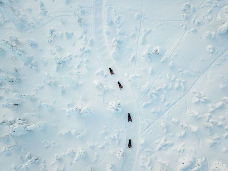 Lapland: Full-Day Snowmobile Safari Into the Wilderness - Activity Overview