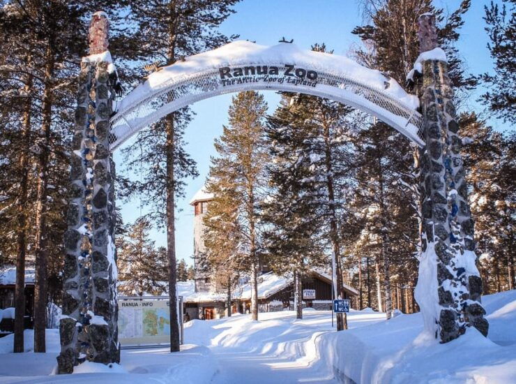 Lapland Full Day Tour With Lunch & Dinner - Good To Know