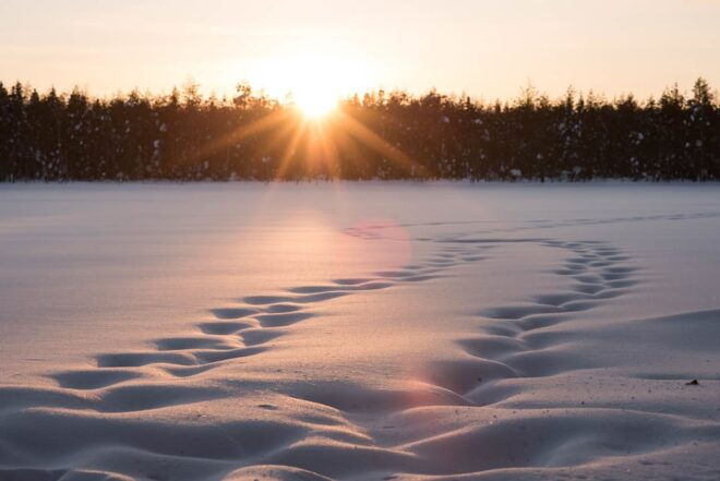 Lapland Full Day Tour With Lunch & Dinner - Participant Restrictions