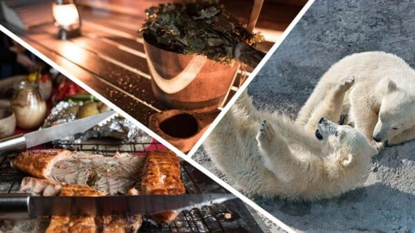 Lapland Full Day Tour With Lunch & Dinner - Customer Reviews