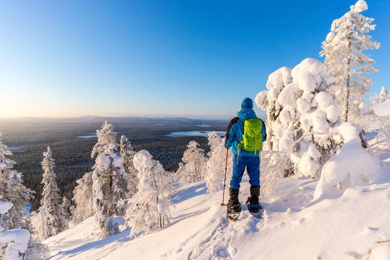 Lapland Hiking and Snowshoeing Tour from Rovaniemi - At a glance