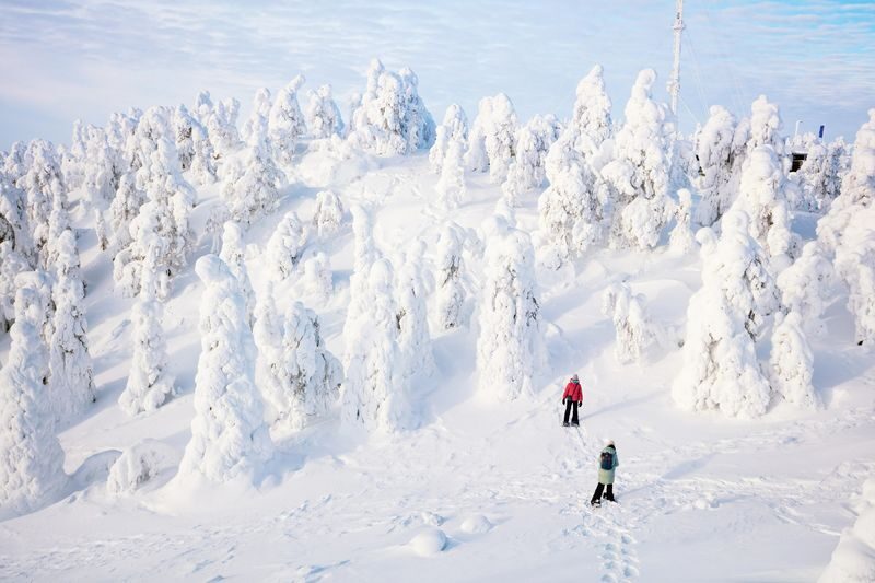 Lapland Hiking and Snowshoeing Tour from Rovaniemi - Leaving Rovaniemi for the winter forest