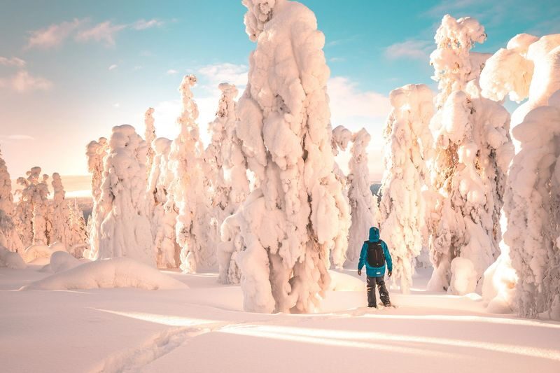 Lapland Hiking and Snowshoeing Tour from Rovaniemi - Keeping the group together