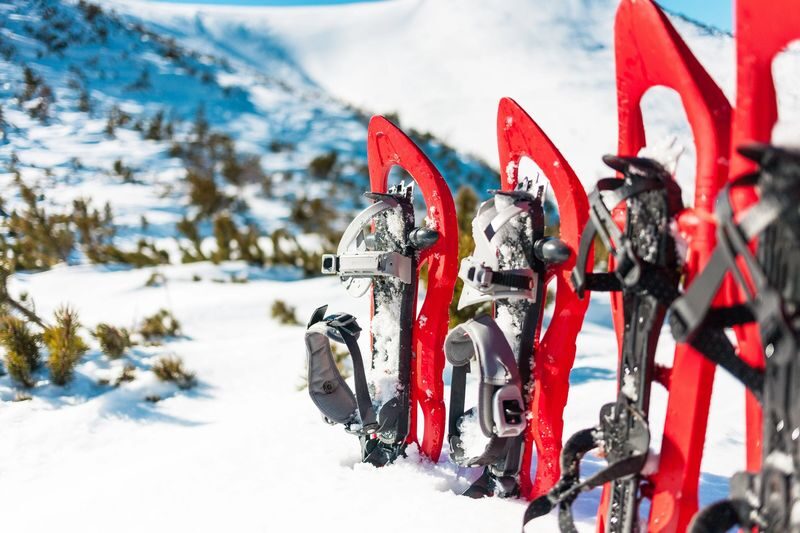 Lapland Hiking and Snowshoeing Tour from Rovaniemi - Warming up with sausage and berry juice