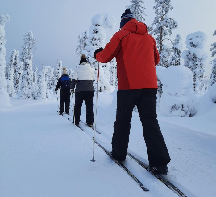 Lapland Levi: Cross-country Skiing for Beginners - Experience Highlights