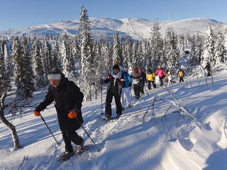 Lapland Levi: Panoramic snowshoeing - What Makes This Tour Special?