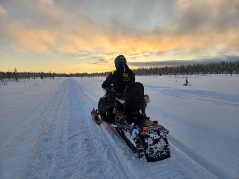 Lapland: Private Snowmobile Safari with arctic Local Guide - Why This Tour Offers Great Value
