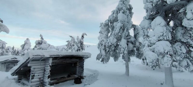 Lapland: Private VIP 7h Snowmobile Tour with Local Guide - Good To Know