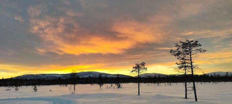 Lapland: Private VIP 7h Snowmobile Tour with Local Guide - What’s Included and What to Keep in Mind
