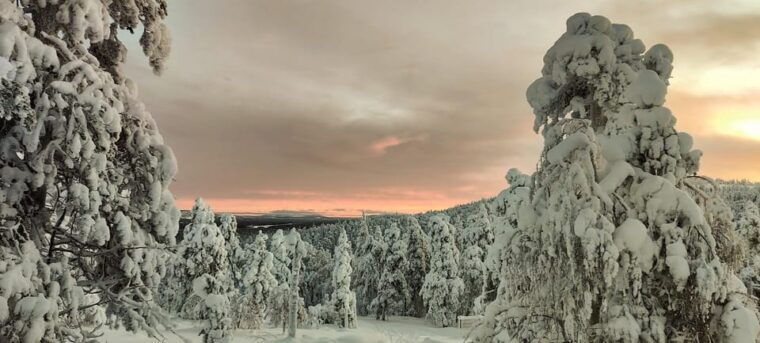 Lapland: Private VIP 7h Snowmobile Tour with Local Guide - Why This Tour Offers Great Value
