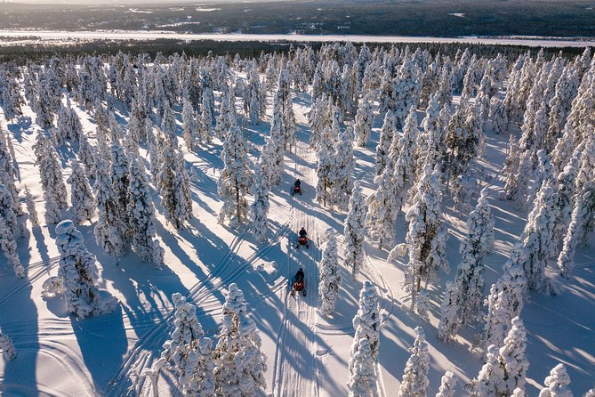 Lapland Snowmobile Safari From Rovaniemi - Pricing and Booking