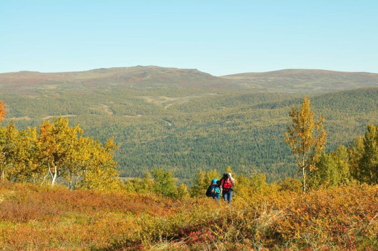Lapland: Three day trekking in the Swedish Highlands - Camping Amidst Nature