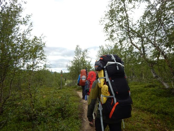 Lapland: Three Day Trekking in the Swedish Highlands - Equipment and Provisions