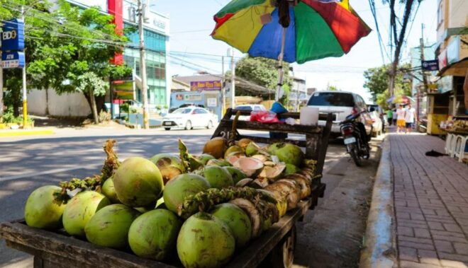 Lapu-Lapu or Cebu City: Historical & Street Food Guided Tour - Common Questions